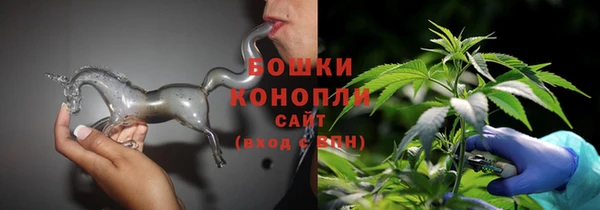 крисы Ельня