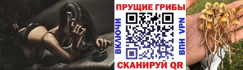 Псилоцибиновые грибы мухоморы  Краснослободск 